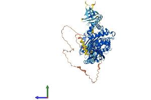 Protein Structure (PS) image for Oculocerebrorenal Syndrome of Lowe (OCRL) (AA 1-901) protein (His tag) (ABIN7554814)