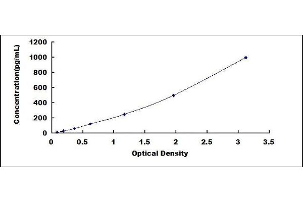 FGF9 ELISA Kit