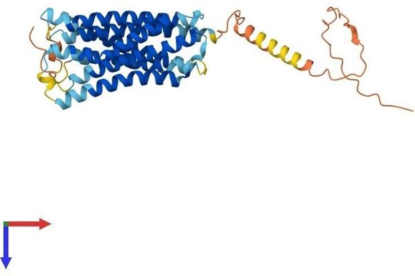 GPRC5D Protein (AA 1-345) (His tag)