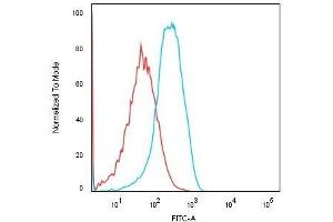 Flow Cytometric Analysis of Human HEK293 cells using KSP-Cadherin Recombinant Rabbit Monoclonal Antibody (CDH16/1532R) followed by Goat anti-rabbit IgG-CF488 (Blue); Isotype Control (Red). (Rekombinanter Cadherin-16 Antikörper)