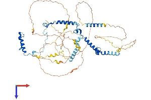 PHACTR1 Protein (AA 1-580) (His tag)