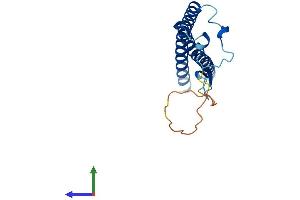 Protein Structure (PS) image for Coiled-Coil Domain Containing 115 (CCDC115) (AA 1-180) protein (His tag) (ABIN7559897)