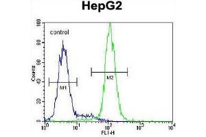CST9 Antibody (C-term) flow cytometric analysis of HepG2 cells (right histogram) compared to a negative control cell (left histogram). (CST9 Antikörper  (C-Term))