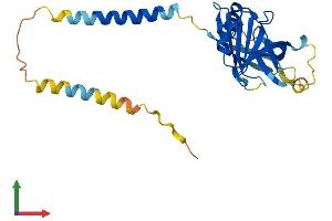 Protein Structure (PS) image for Integral Membrane Protein 2A (ITM2A) (AA 1-263) protein (His tag) (ABIN7548591)