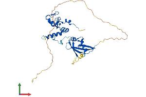 AlphaFold protein structure predicition of Mouse Recombinant Bmi1 Protein, UniprotID P25916 (BMI1 Protein (AA 1-324) (His tag))