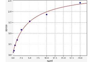 ERBB4 ELISA Kit