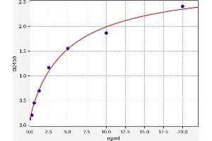 Typical standard curve (ERBB4 ELISA Kit)