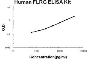 Human FLRG/FSTL3 PicoKine ELISA Kit standard curve (FSTL3 ELISA Kit)