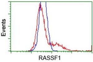 HEK293T cells transfected with either RC213525 overexpress plasmid (Red) or empty vector control plasmid (Blue) were immunostained by anti-RASSF1 antibody (ABIN2454272), and then analyzed by flow cytometry. (RASSF1 Antikörper)