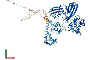 AlphaFold protein structure predicition of Human Recombinant EFCAB7 Protein, UniprotID A8K855