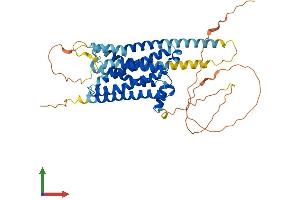 Protein Structure (PS) image for Dopamine Receptor D1 (DRD1) (AA 1-446) protein (His tag) (ABIN7557721)