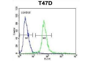 Flow Cytometry (FACS) image for anti-Potassium Channel Tetramerisation Domain Containing 12 (KCTD12) antibody (ABIN3004107) (KCTD12 Antikörper)