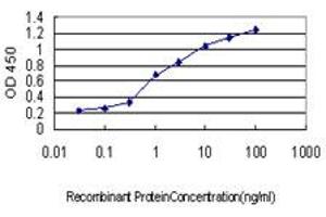 Detection limit for recombinant GST tagged CRX is approximately 0.