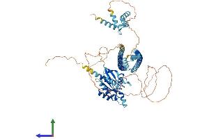 AlphaFold protein structure predicition of Human Recombinant RASEF Protein, UniprotID Q8IZ41