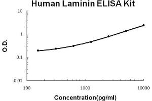 Human Laminin Accusignal ELISA Kit Human Laminin AccuSignal ELISA Kit Standard curve. (Laminin ELISA Kit)