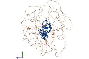 Protein Structure (PS) image for Cyclin B3 (CCNB3) (AA 1-1395) protein (His tag) (ABIN7553104)