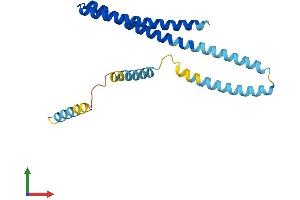AlphaFold protein structure predicition of Human Recombinant CHMP1B Protein, UniprotID Q7LBR1 (CHMP1B Protein (AA 1-199) (His tag))