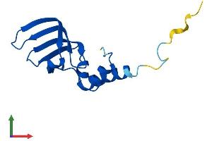 Protein Structure (PS) image for LSM10, U7 Small Nuclear RNA Associated (LSM10) (AA 1-122) protein (His tag) (ABIN7559604)