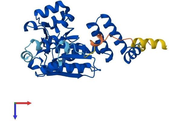 ECHDC1 Protein (AA 1-307) (His tag)