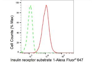 Flow cytometric analysis of Insulin receptor substrate 1 expression in HT- cells using Insulin receptor substrate 1 antibody (ABIN7799046), 1:2,000).