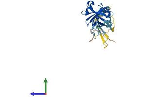 Protein Structure (PS) image for Integral Membrane Protein 2C (ITM2C) (AA 1-267) protein (His tag) (ABIN7548560)