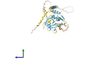 Protein Structure (PS) image for Ring Finger Protein 215 (RNF215) (AA 1-379) protein (His tag) (ABIN7557521)