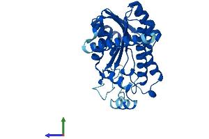 Protein Structure (PS) image for Epidermal Retinal Dehydrogenase 2 (RDHE2) (AA 1-309) protein (His tag) (ABIN7558259)