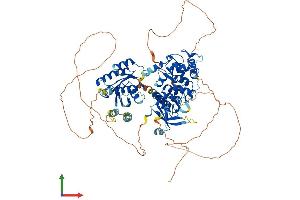 Protein Structure (PS) image for ArfGAP with GTPase Domain, Ankyrin Repeat and PH Domain 1 (AGAP1) (AA 1-857) protein (His tag) (ABIN7551959)