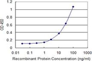 Detection limit for recombinant GST tagged INPP4B is 1 ng/ml as a capture antibody. (INPP4B Antikörper  (AA 1-53))