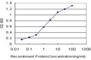 Detection limit for recombinant GST tagged LHX4 is approximately 0. (LHX4 Antikörper  (AA 208-306))