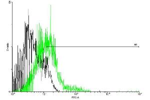 FACS analysis of negative control 293 cells (Black) and CCBP2 expressing 293 cells (Green) using CCBP2 purified MaxPab mouse polyclonal antibody. (CCBP2 Antikörper  (AA 1-384))