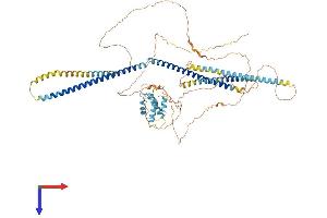 CCPG1 Protein (AA 1-753) (His tag)
