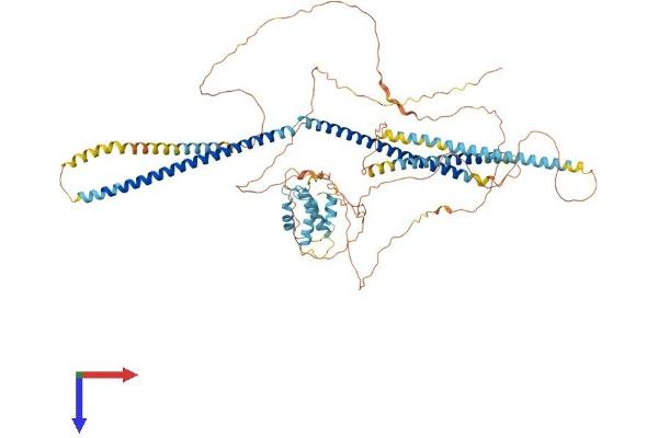 CCPG1 Protein (AA 1-753) (His tag)
