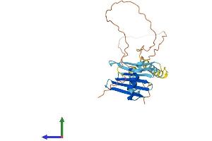 Protein Structure (PS) image for Myeloid Leukemia Factor 1 (MLF1) (AA 1-268) protein (His tag) (ABIN7549407)