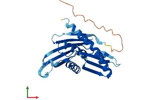 Protein Structure (PS) image for Exosome Component 5 (EXOSC5) (AA 1-235) protein (His tag) (ABIN7564940)