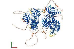Protein Structure (PS) image for FERM, RhoGEF (ARHGEF) and Pleckstrin Domain Protein 1 (Chondrocyte-Derived) (FARP1) (AA 1-1045) protein (His tag) (ABIN7553883)