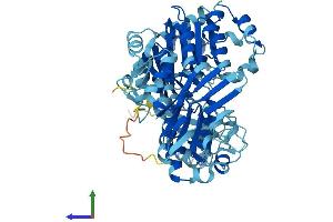 Protein Structure (PS) image for ATP-Binding Cassette, Sub-Family E (OABP), Member 1 (ABCE1) (AA 1-599) protein (His tag) (ABIN7551891)
