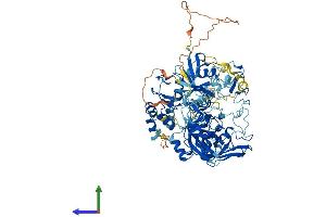 Protein Structure (PS) image for Ubiquitin-Like, Containing PHD and RING Finger Domains, 1 (UHRF1) (AA 1-793) protein (His tag) (ABIN7555971)