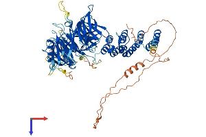 Protein Structure (PS) image for WD Repeat Containing Planar Cell Polarity Effector (WDPCP) (AA 1-722) protein (His tag) (ABIN7559130)
