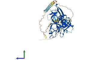 Protein Structure (PS) image for Transmembrane Protease, serine 5 (TMPRSS5) (AA 1-455) protein (His tag) (ABIN7561416)
