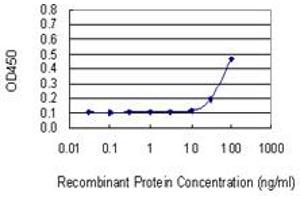 Detection limit for recombinant GST tagged NP is 10 ng/ml as a capture antibody. (PNP Antikörper  (AA 1-289))