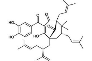Chemical structure of Garcinol , a HAT inhibitor. (Garcinol)
