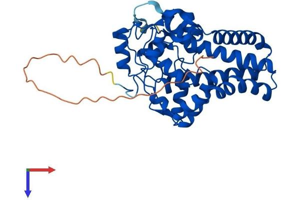 SCD Protein (AA 1-359) (His tag)