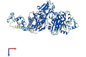 AlphaFold protein structure predicition of Mouse Recombinant Enpp3 Protein, UniprotID Q6DYE8 (ENPP3 Protein (AA 1-874) (His tag))