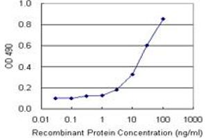 Sandwich ELISA detection sensitivity ranging from 3 ng/mL to 100 ng/mL. (MCM4 (Human) Matched Antibody Pair)