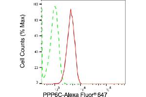 Flow cytometric analysis of PPP6C expression in HT- cells using PPP6C antibody (ABIN7800031), 1:2,000).
