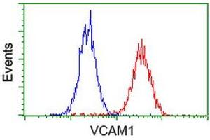 Flow cytometric Analysis of Hela cells, using anti-VCAM1 antibody (ABIN2454217), (Red), compared to a nonspecific negative control antibody, (Blue). (VCAM1 Antikörper)