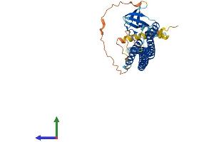 Protein Structure (PS) image for SH3-Domain GRB2-Like Endophilin B2 (SH3GLB2) (AA 1-395) protein (His tag) (ABIN7546054)
