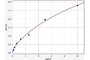 Typical standard curve (HSD3B7 ELISA Kit)
