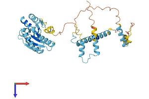 PSMD4/ASF Protein (AA 1-376) (His tag)